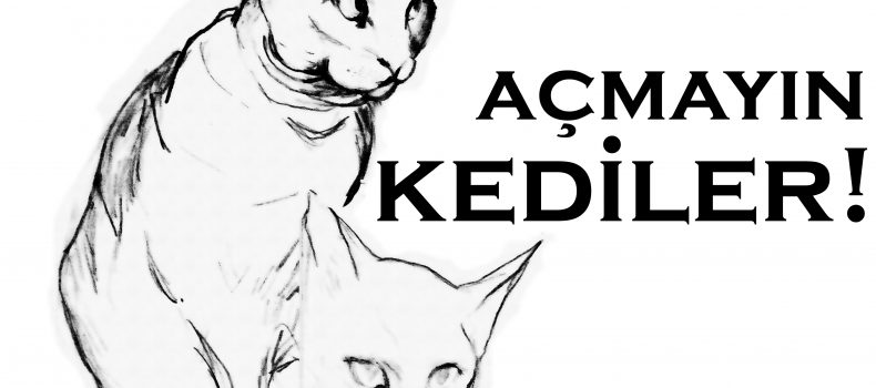 Kedi Uyarı Levhası